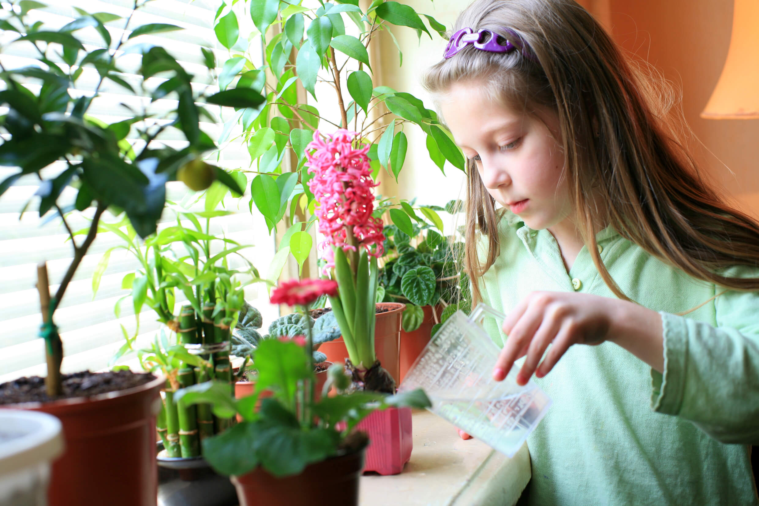 Комнатные цветы для детской. Растения на подоконнике. Комнатные растения для детей. Дети поливают цветы. Цветы на подоконнике для детей.